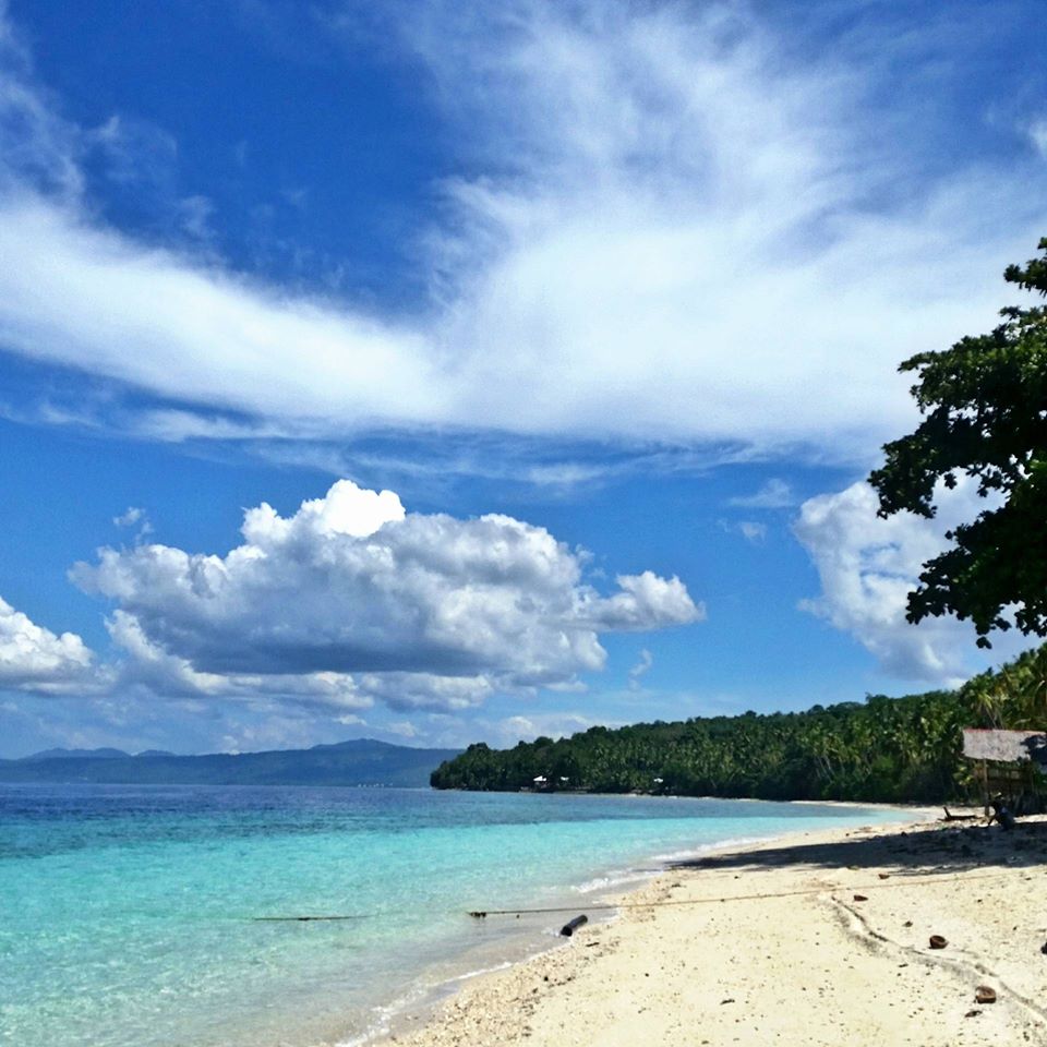 12358258_937339129691180_707275164_n