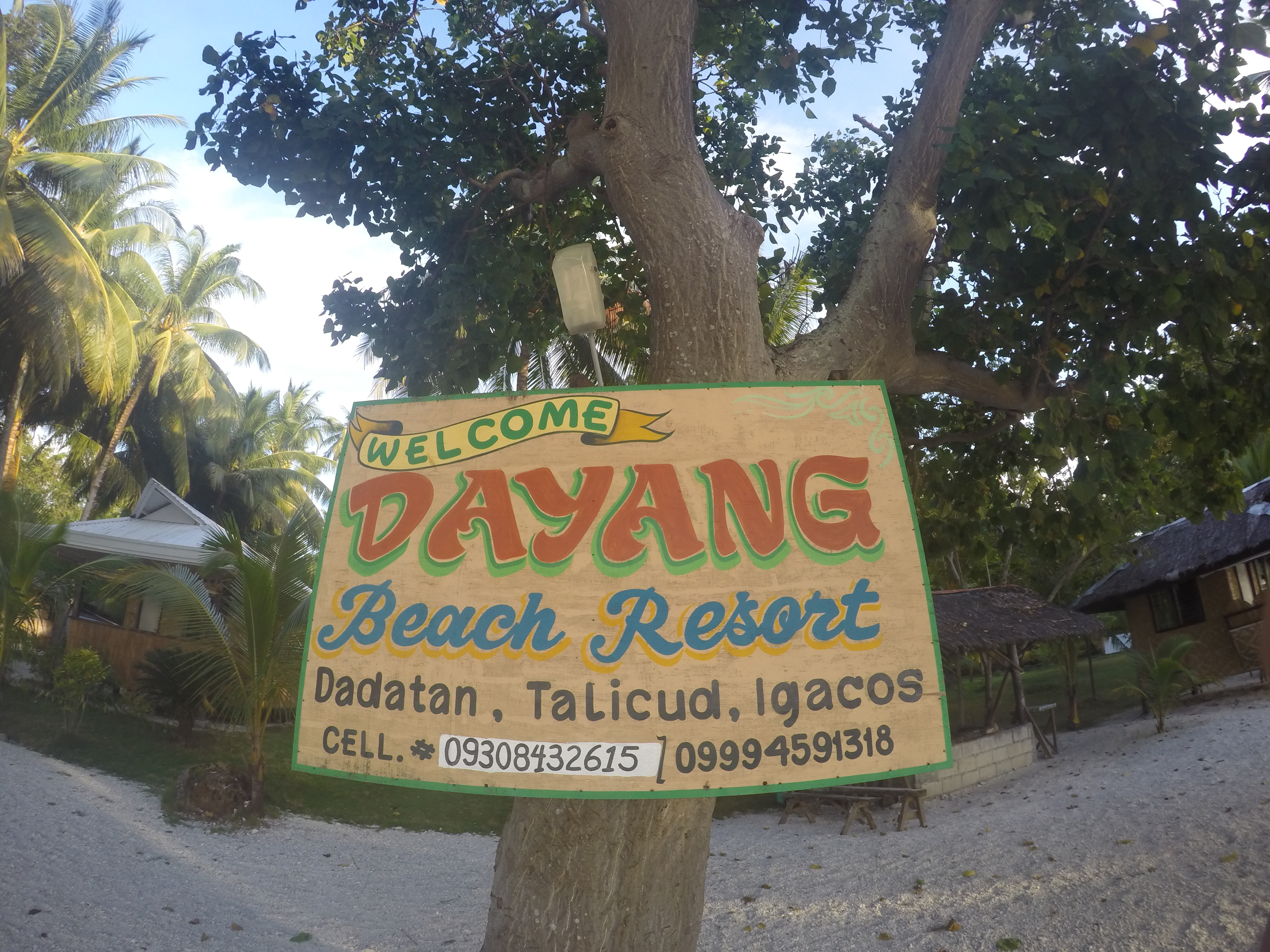 DCIM100GOPROGOPR2216.