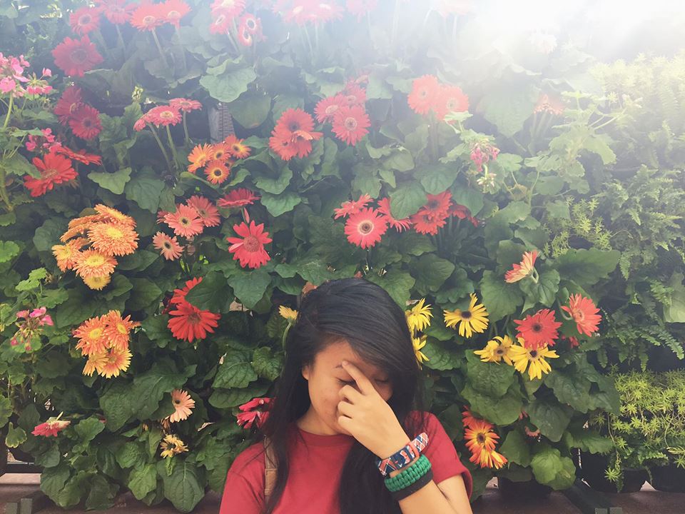 17800380_10154675853522983_7472164863814936146_n