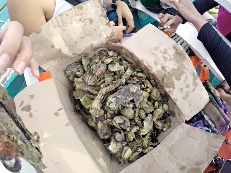 DCIM102GOPROGOPR0943.