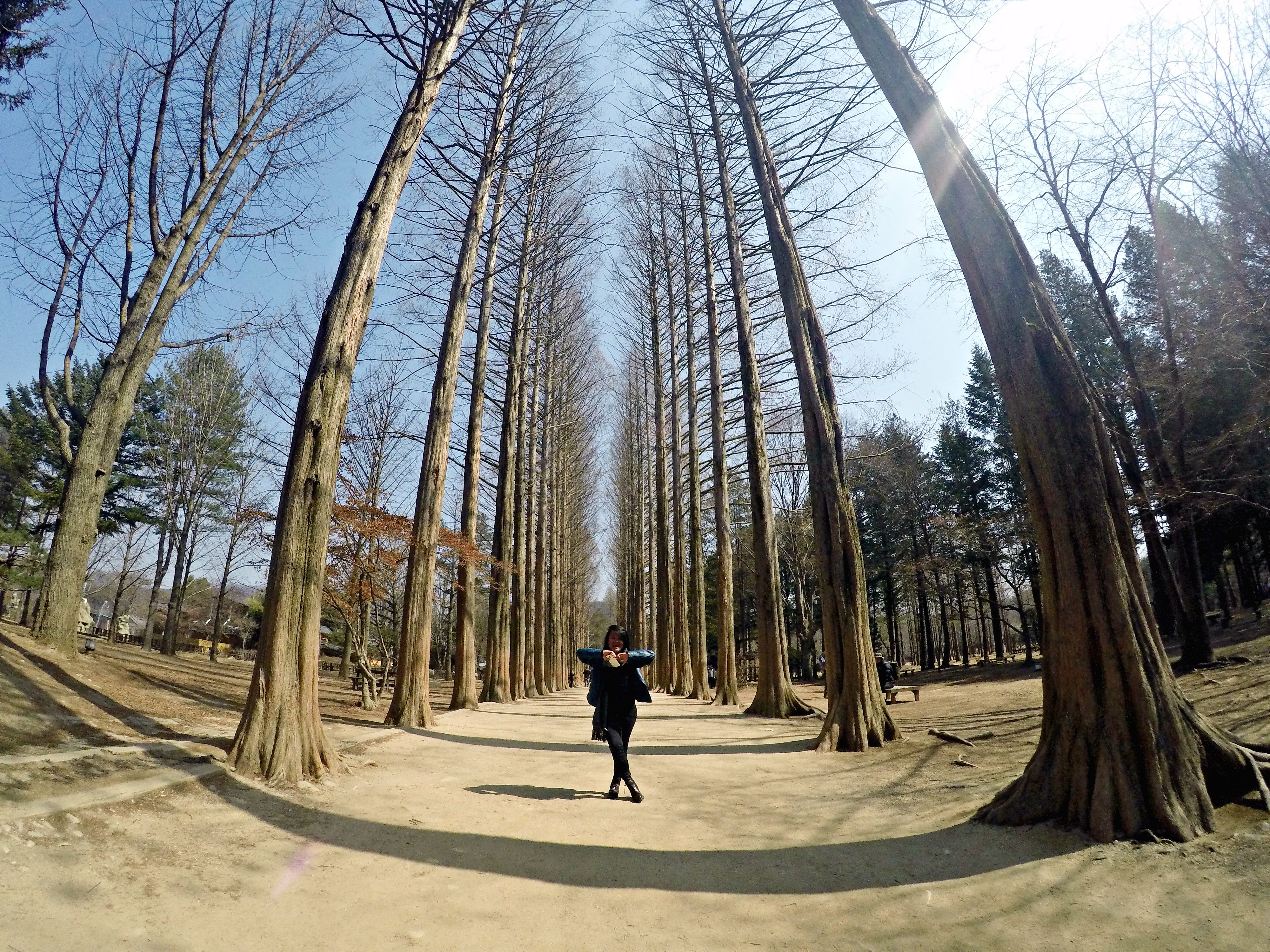 DCIM103GOPROGOPR1331.