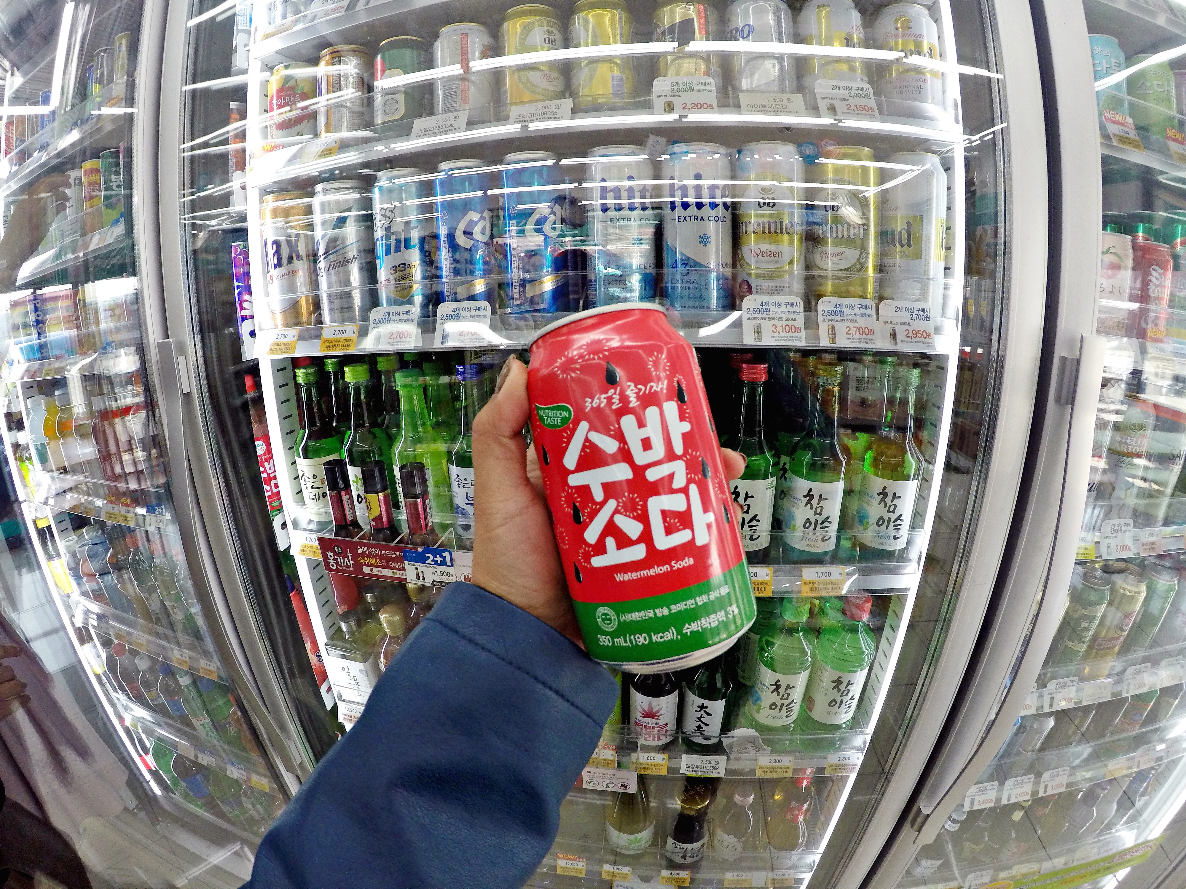 DCIM103GOPROGOPR1363.