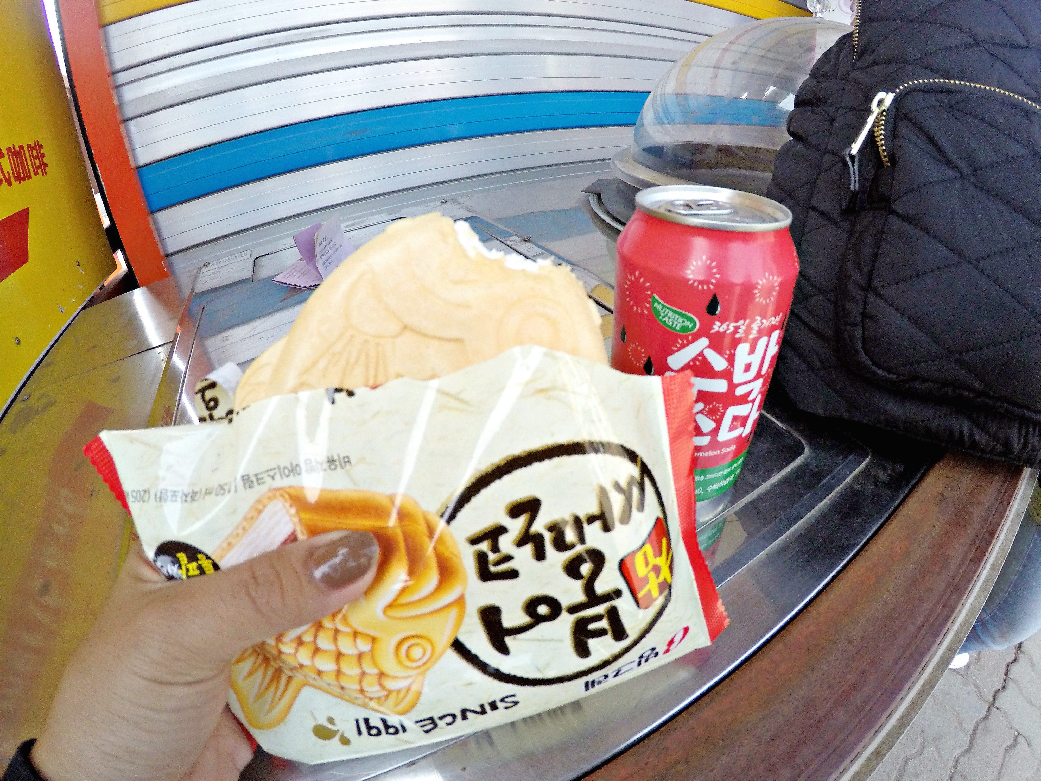 DCIM103GOPROGOPR1364.