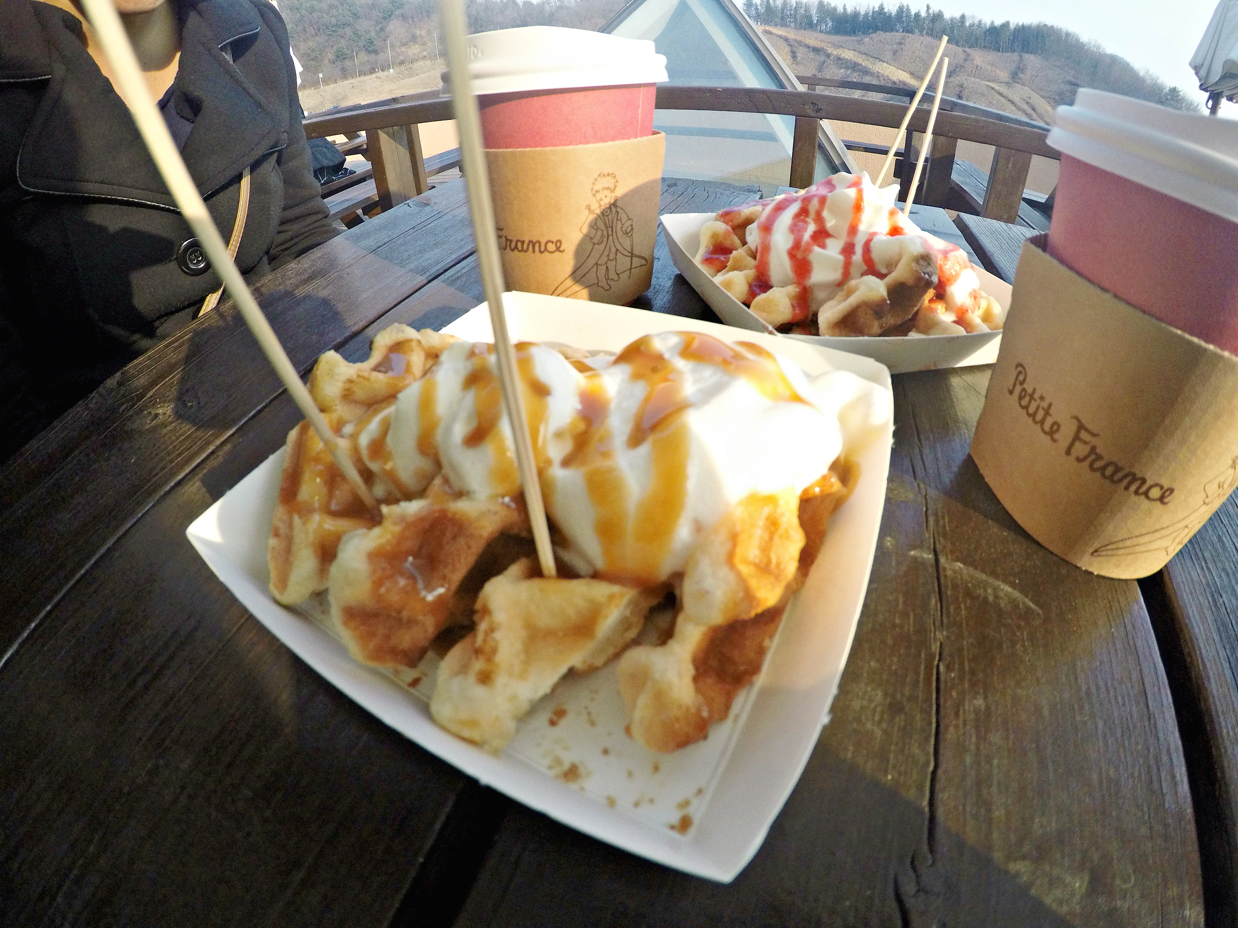 DCIM103GOPROGOPR1445.