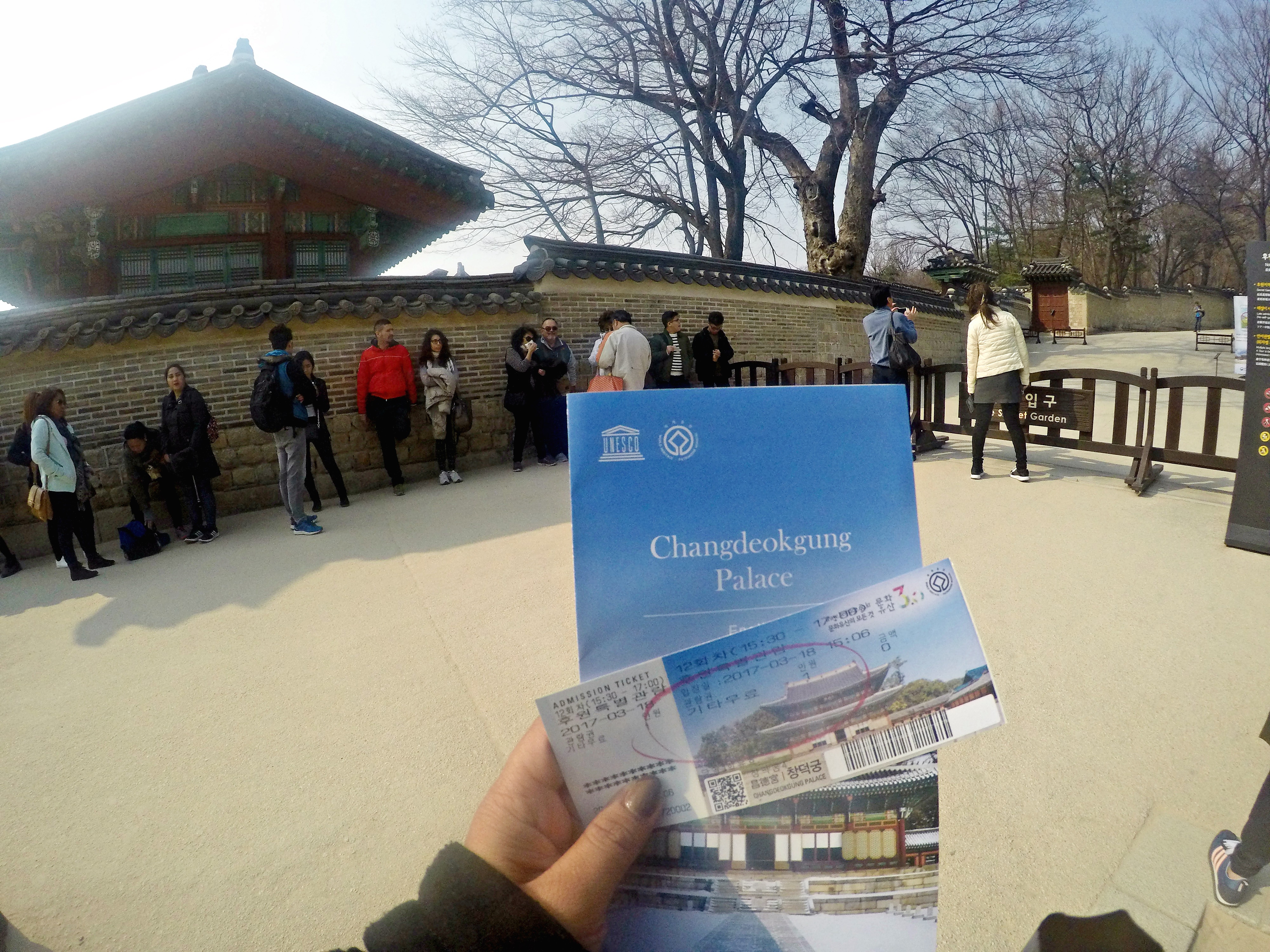 DCIM103GOPROGOPR1542.