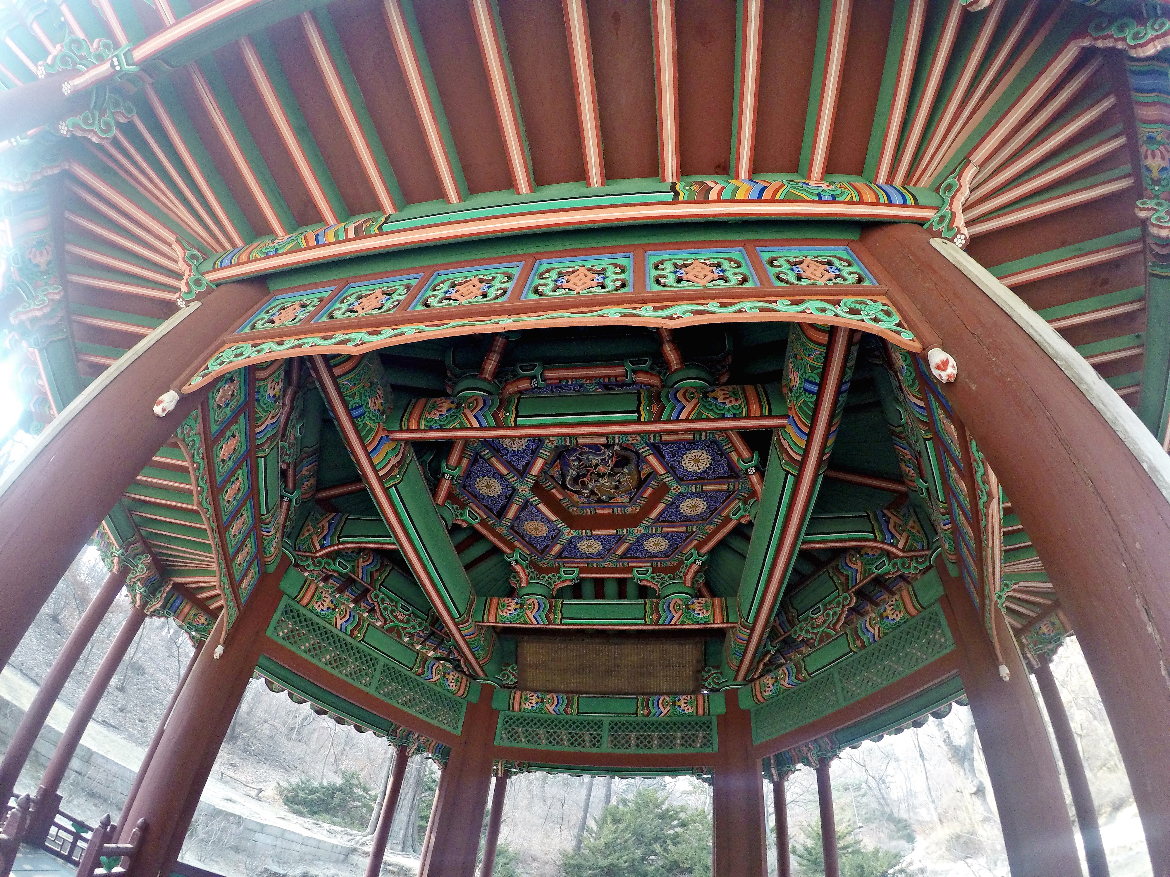 DCIM103GOPROGOPR1547.