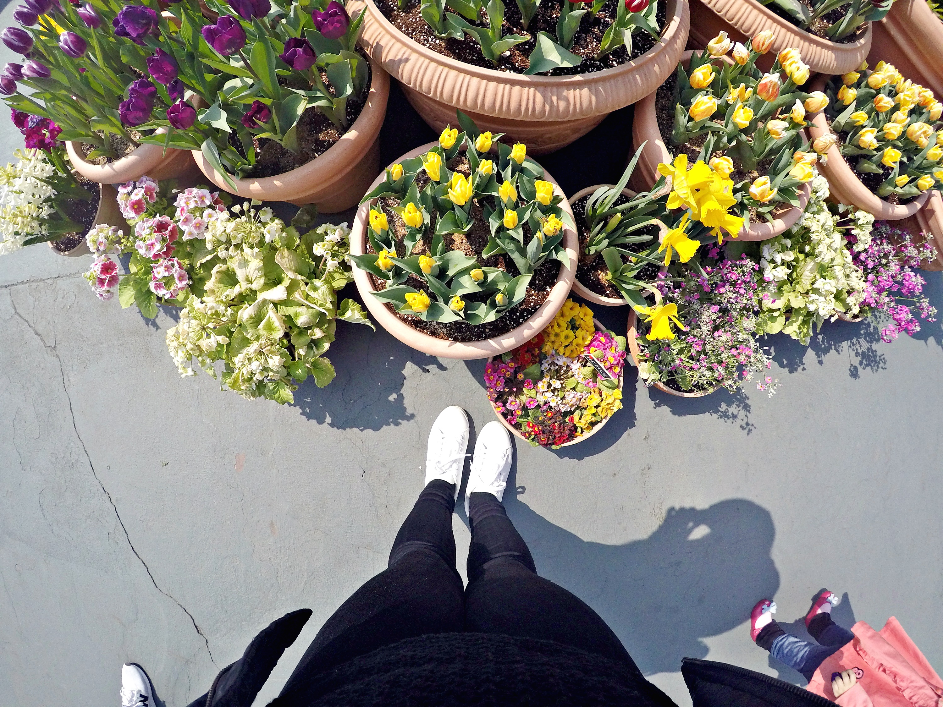 DCIM103GOPROGOPR1604.