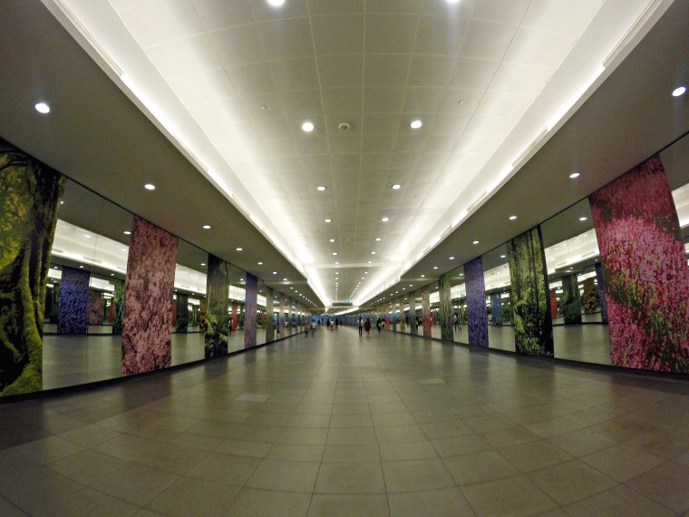 DCIM103GOPROGOPR1793.