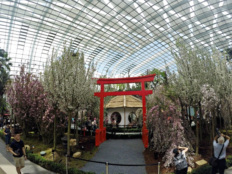 DCIM103GOPROGOPR1796.