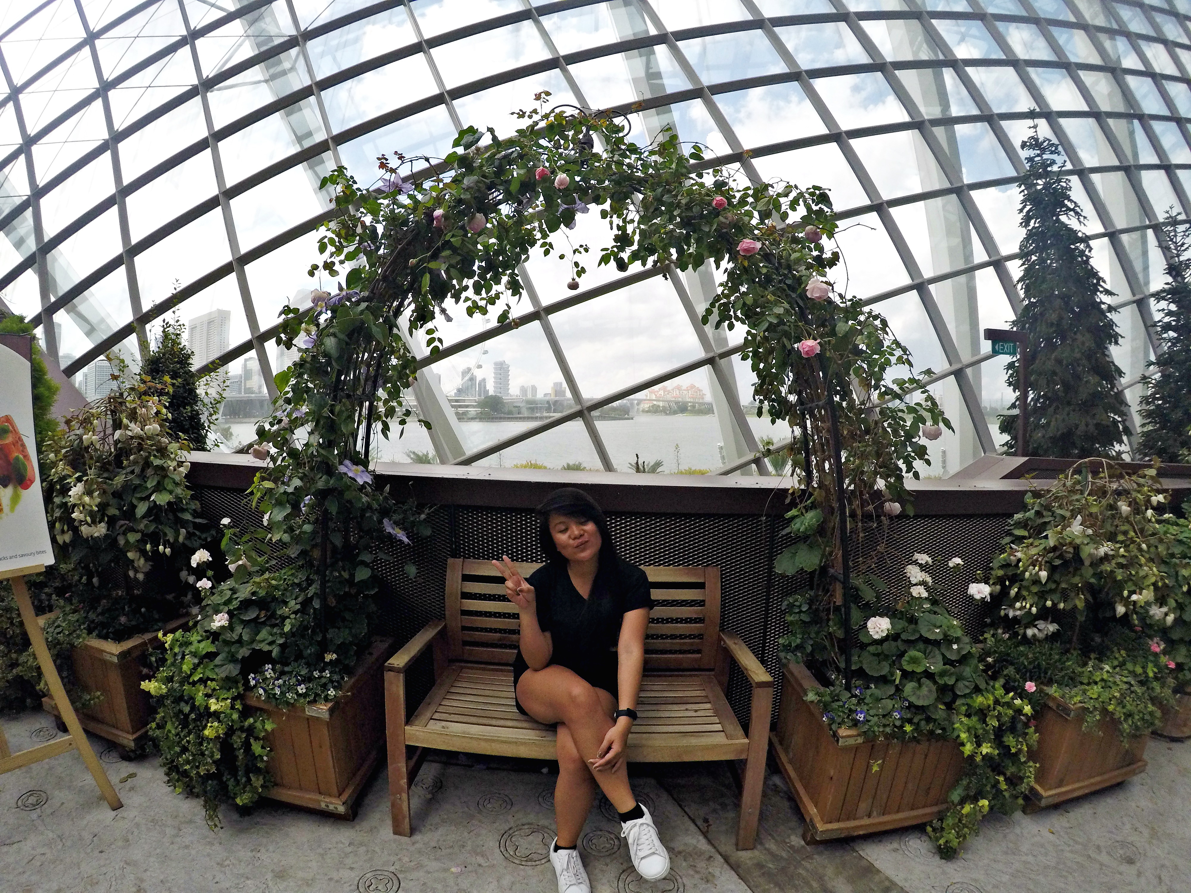 DCIM103GOPROGOPR1799.