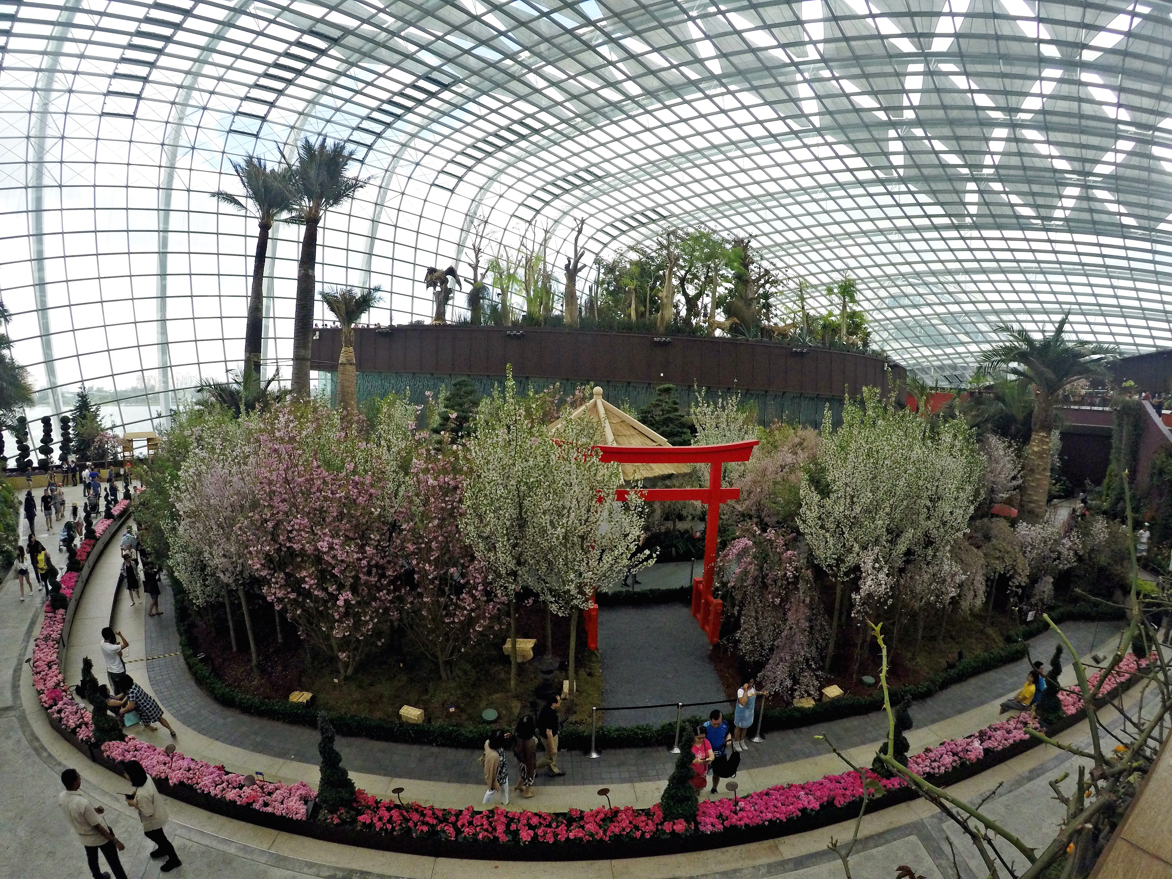 DCIM103GOPROGOPR1802.