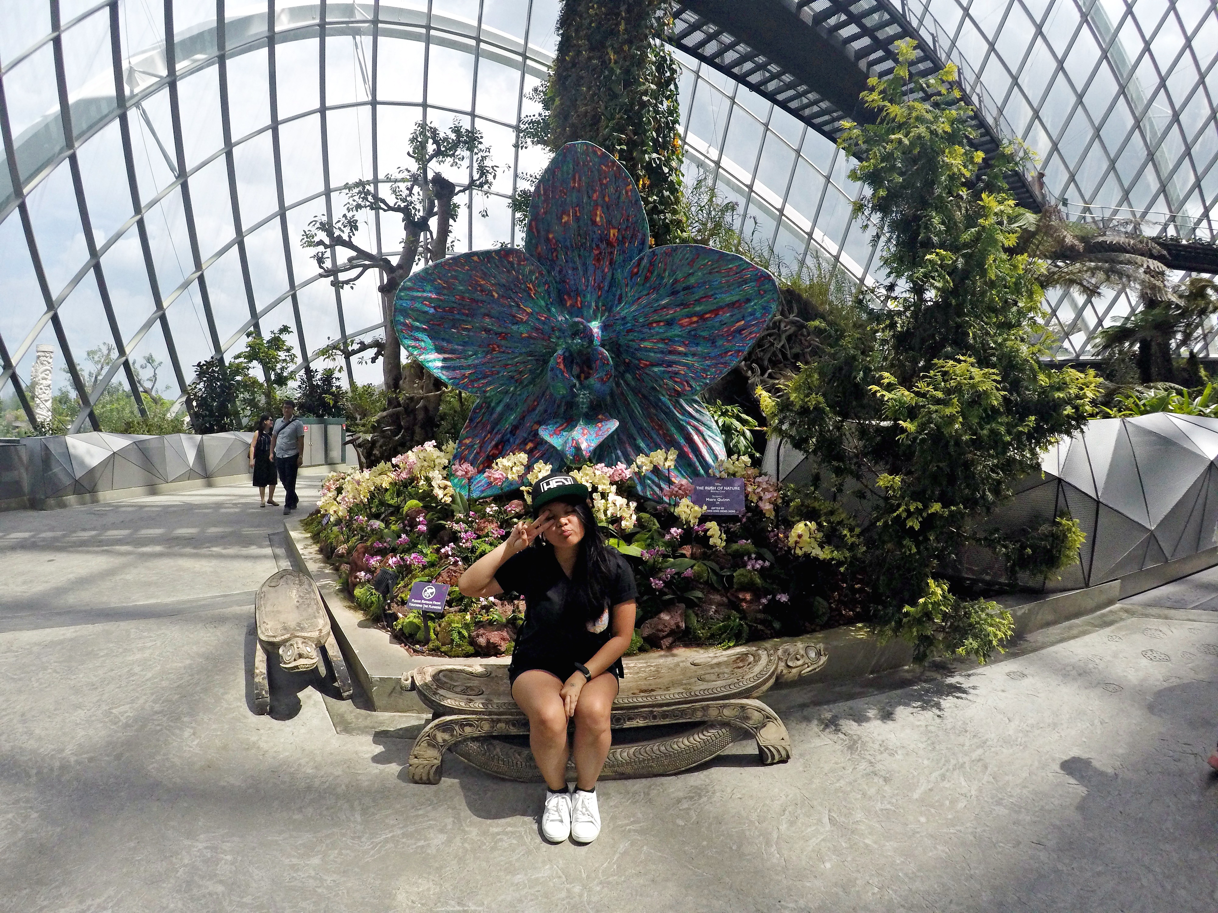 DCIM103GOPROGOPR1821.