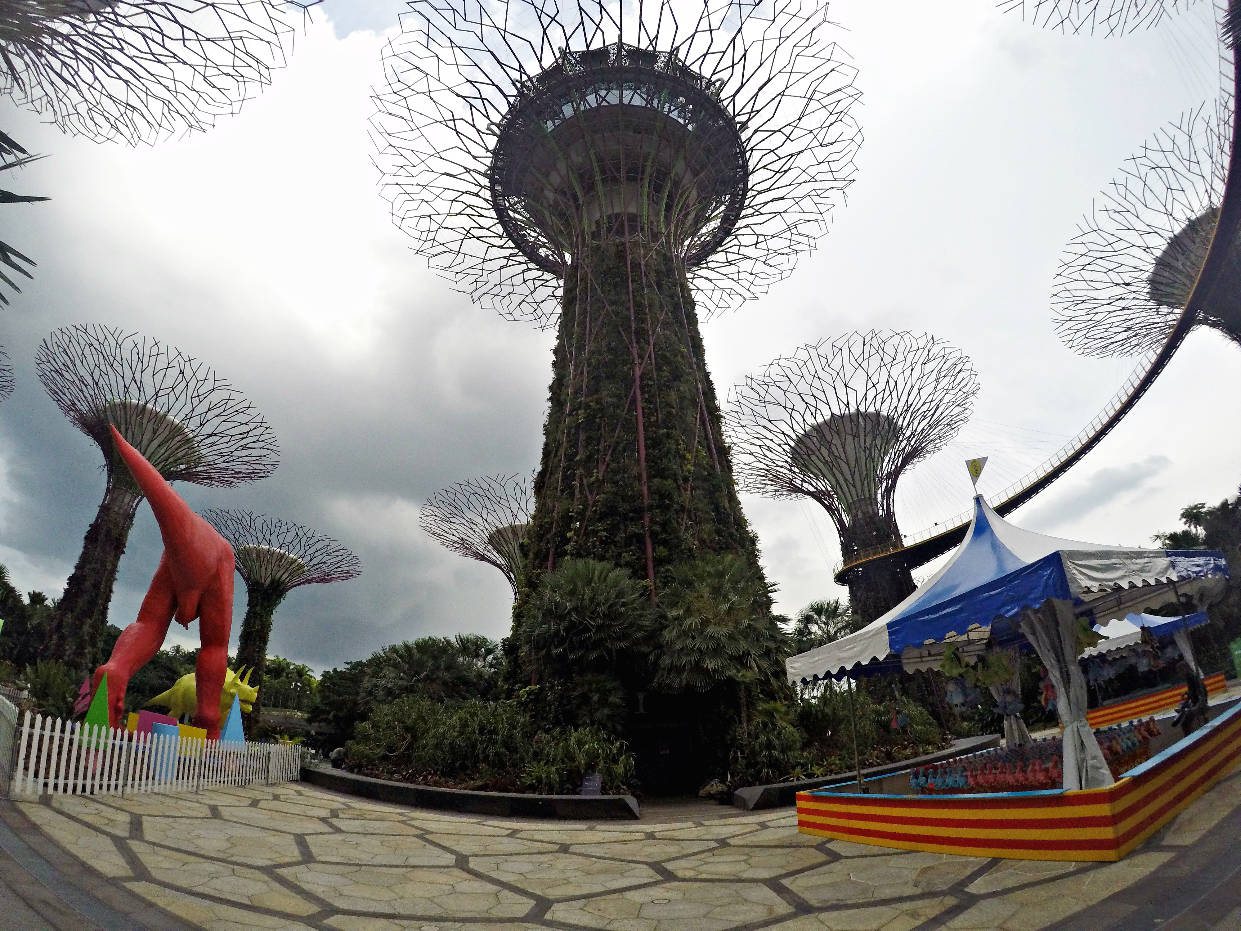 DCIM103GOPROGOPR1832.