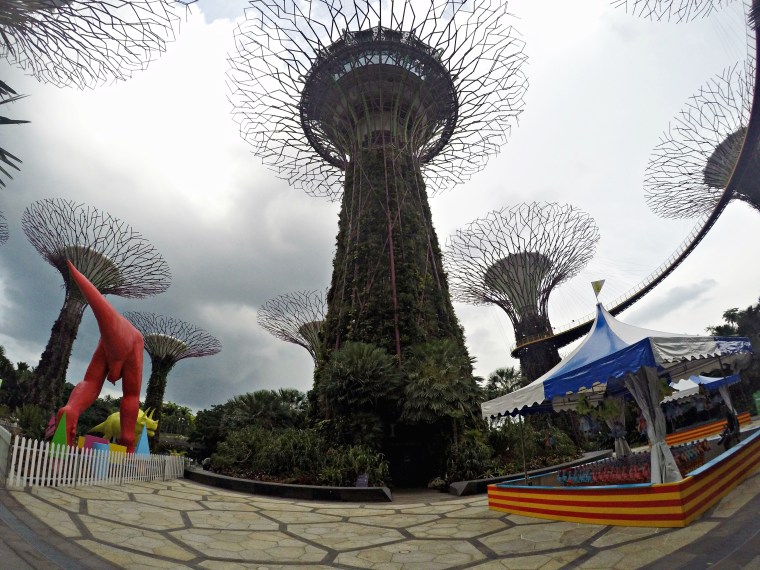 DCIM103GOPROGOPR1832.