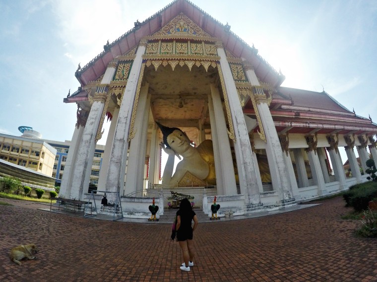 DCIM103GOPROGOPR1900.