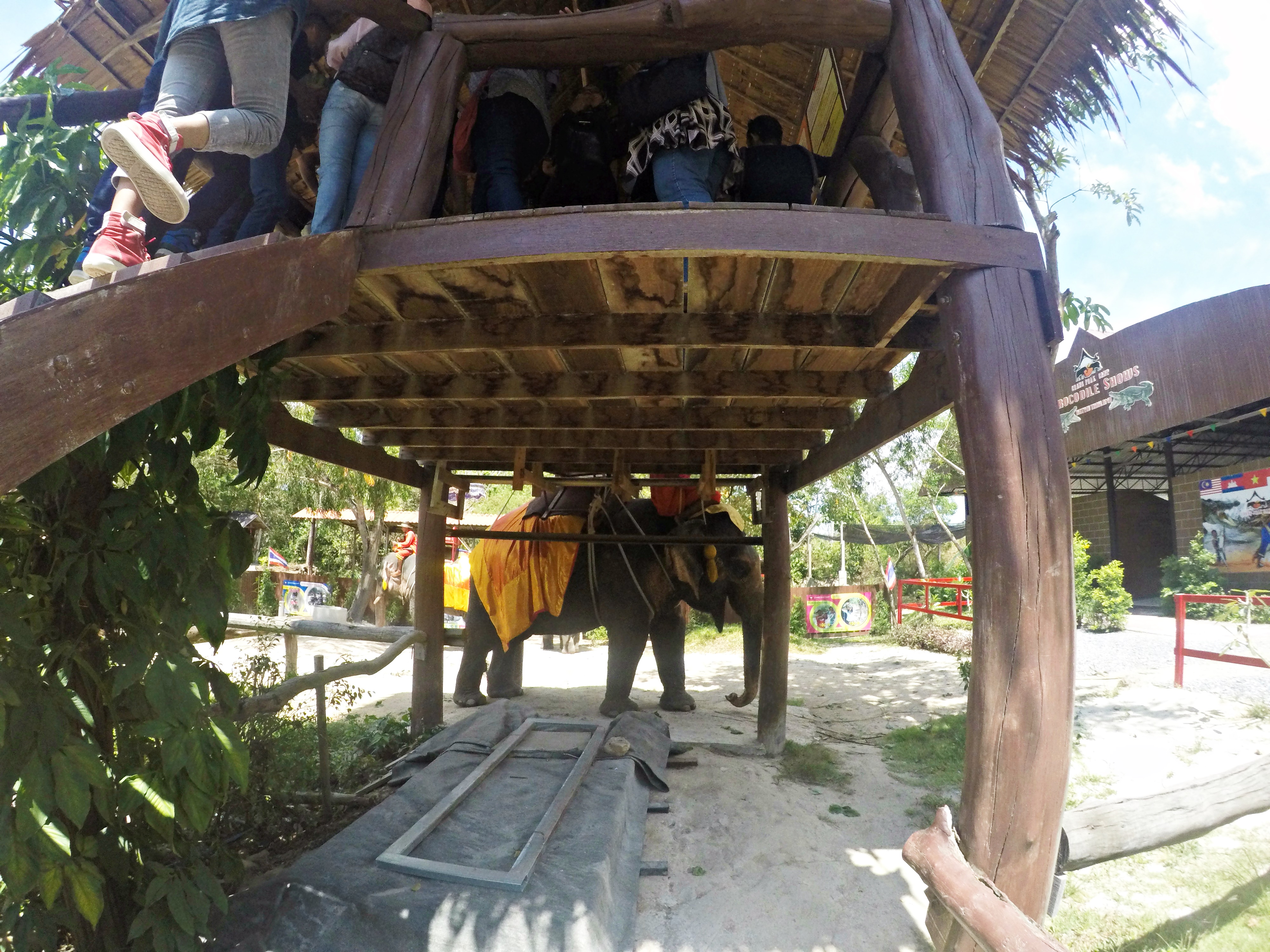 DCIM103GOPROGOPR1860.