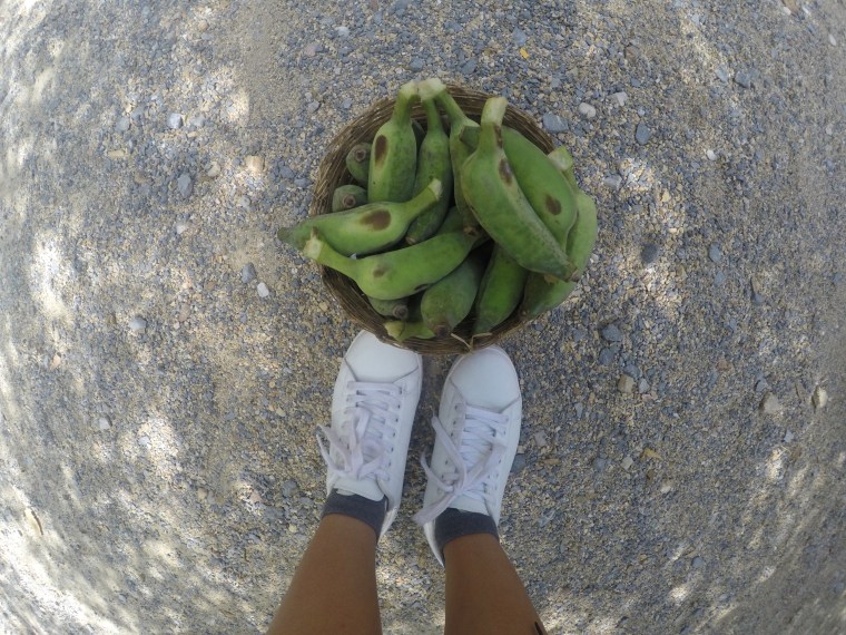 DCIM103GOPROGOPR1875.