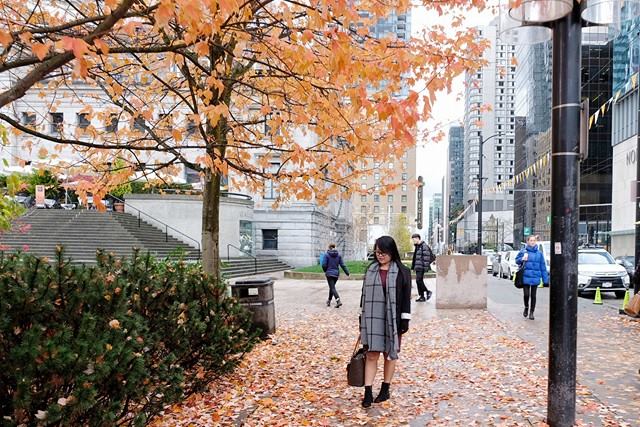 26197360_1583061425118944_552295908_n