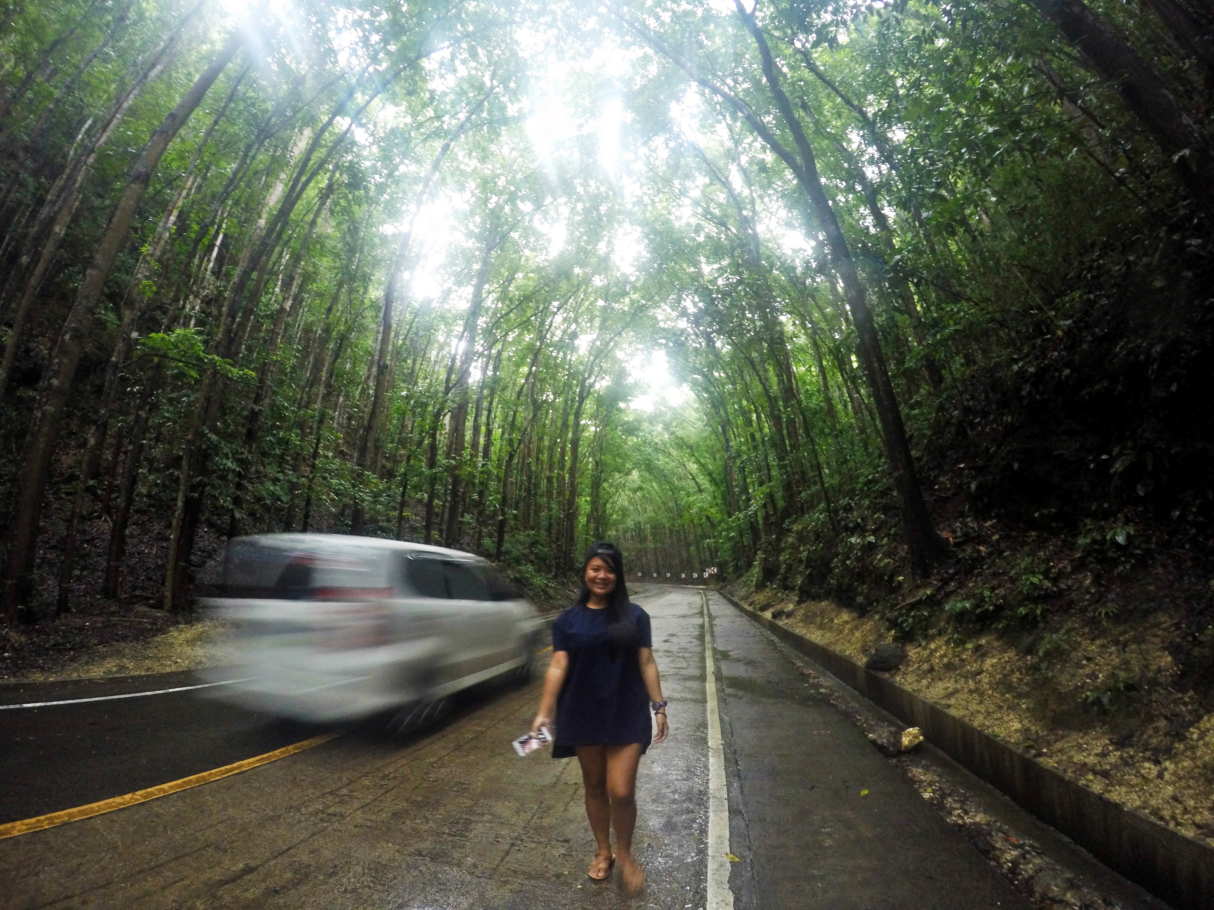 DCIM100GOPROGOPR4417.